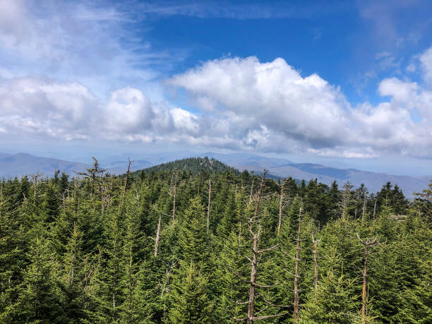 istock Vivid blue sky with clouds above Great Smoky Mountains 1321989528