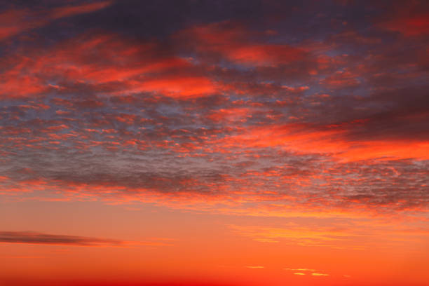istock Sunset Cloudy Sky With Clouds. Sunset Sky Natural Background. Dramatic Sky. Sunset In Yellow, Orange, Pink Colors 1321989710