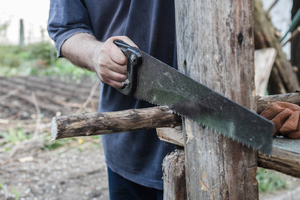istock circumcised man sawing wood with a saw 1321996897