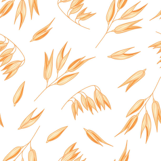 ilustraciones, imágenes clip art, dibujos animados e iconos de stock de patrón de avena sin costuras sobre fondo blanco. ilustración de avena vectorial.  patrón de planta de trigo de espelta.  papel pintado de harina de avena natural - avena