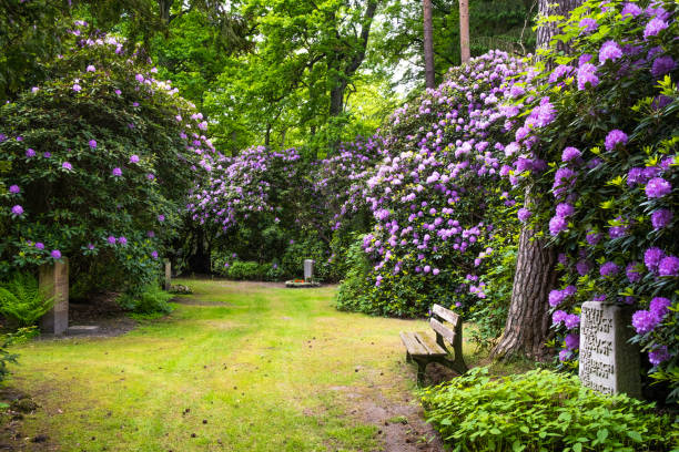 咲く墓地の風景 - formal garden garden path bench flower ストックフォトと画像