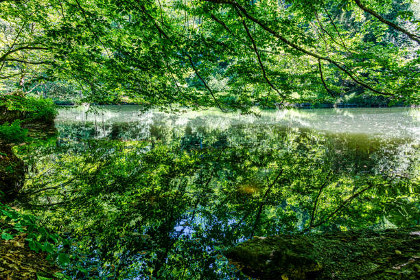 Mystic wilderness and breathtaking beauty of nature in Stillensteinklamm near Grein in Upper Austria