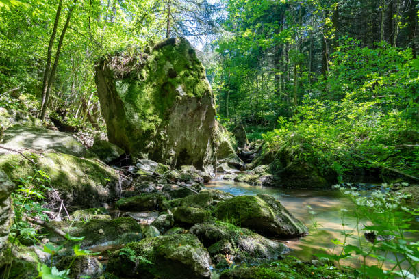 istock Breathtaking Wilderness scenery in Stillensteinklamm, Upper Austria 1322000509
