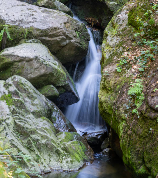 istock Breathtaking Wilderness scenery in Stillensteinklamm, Upper Austria 1322000594