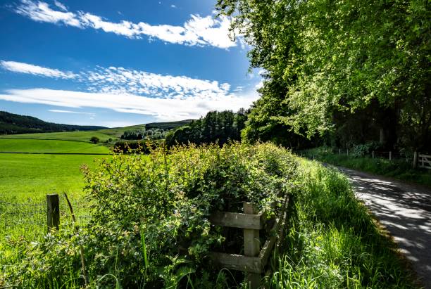 istock Rural Scenes: Selkirkshire, Scotland. 1322006795