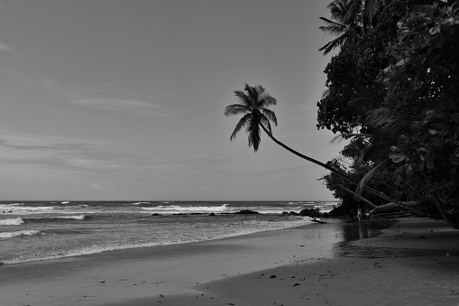 Early morning walk on the Marianne Beach, Blanchisseuse, Trinidad.