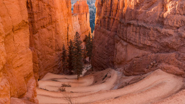 Navajo Loop Trail, Bryce Canyon, Utah, USA