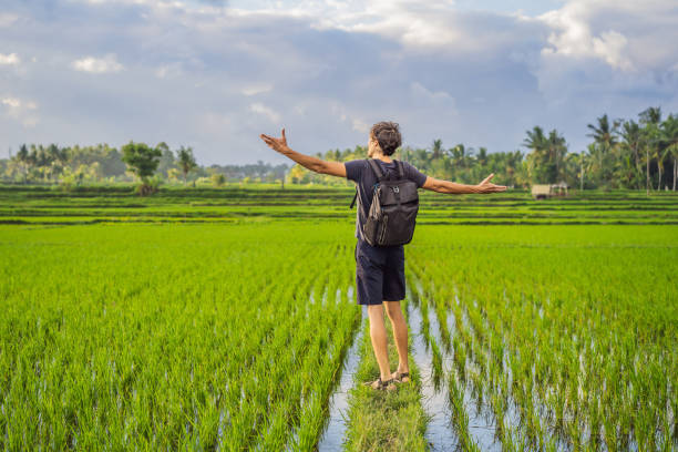 male tourist with a backpack goes on the rice field - bali male beautiful ethnicity imagens e fotografias de stock