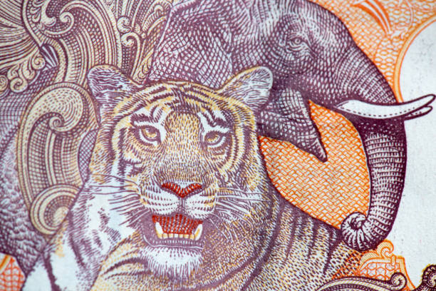 istock Tiger and Elephant on Indian Ten Rupees Banknote reverse, macro photography 1322021319