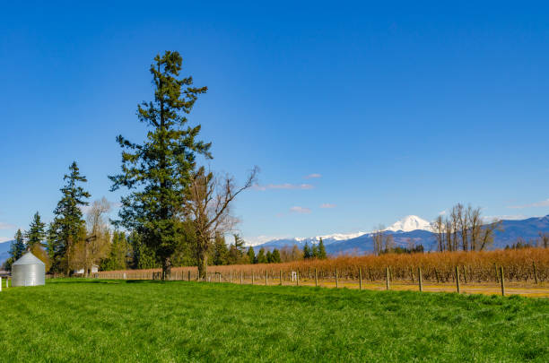 istock Farmland and mountains covering with snow 1322023065