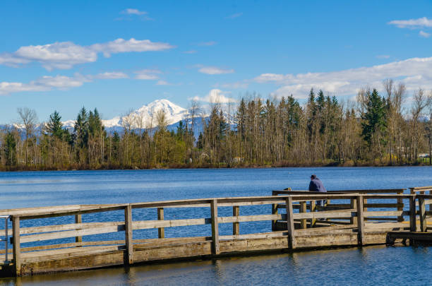 View of mt. Baker in the park View of mt. Baker in the park abbotsford canada stock pictures, royalty-free photos & images