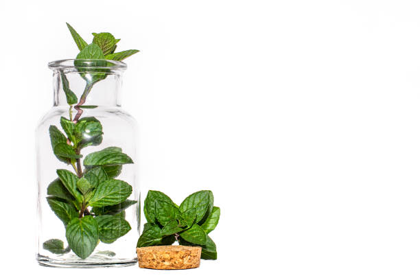 istock Chocolate Mint In Glass Bottle Isolated 1322025134