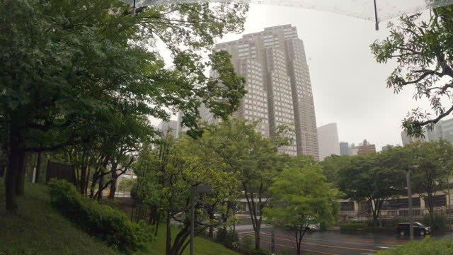 Looking at a skyscraper from an urban park with an umbrella on a rainy day