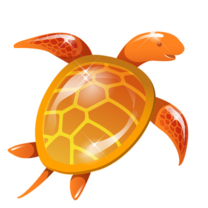 Sea Creatures-Sea Turtles