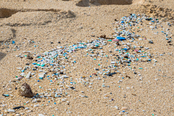 mikroplastik-verschmutzung verstreut waimanalo beach auf hawaii - oahu water sand beach stock-fotos und bilder