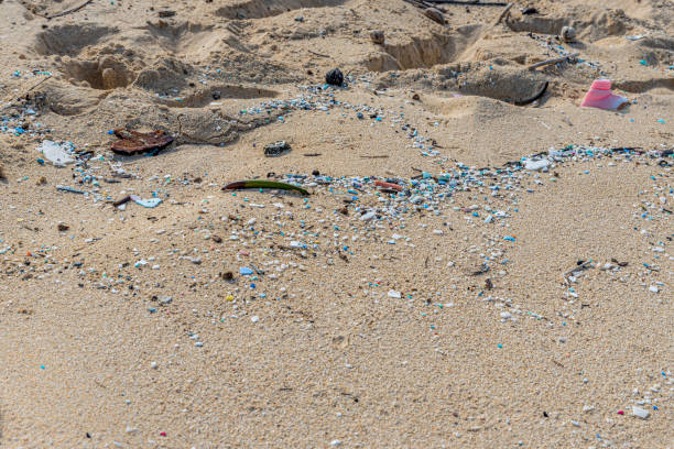 istock Microplastic pollution littering Waimanalo Beach in Hawaii 1322040744