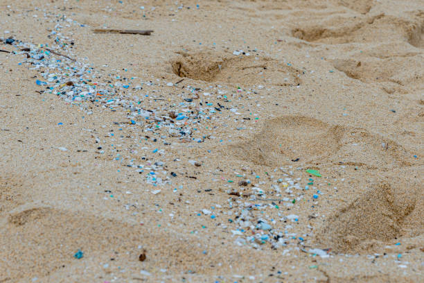 istock Microplastic pollution littering Waimanalo Beach in Hawaii 1322040766