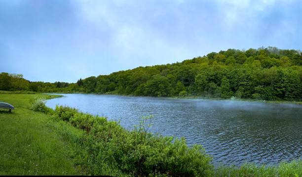 istock Large, isolated pond in the countryside, with mist 1322044458