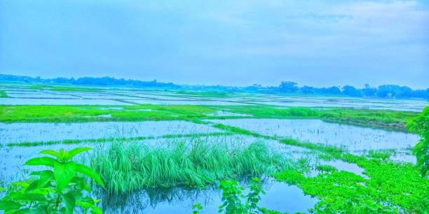 Neceral Village picture, Butufull