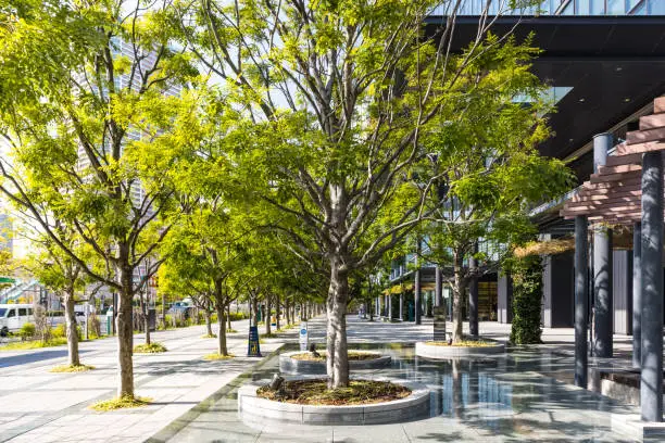 Photo of Tree-lined road scenery in front of the office building３