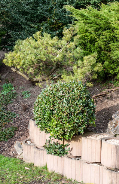 istock a garden wall of precast concrete elements 1322054638