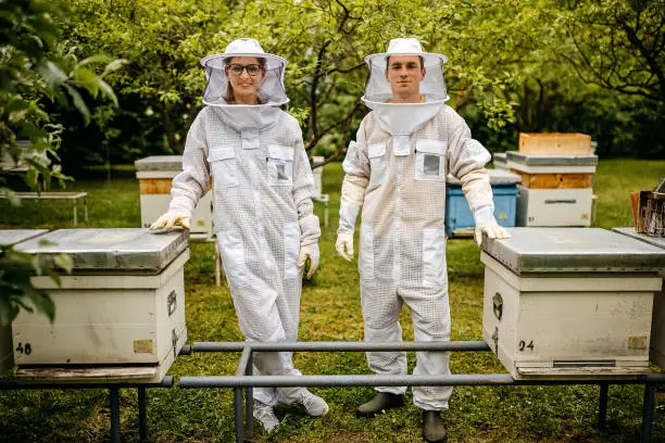 Beekeeper with bees and honeycomb