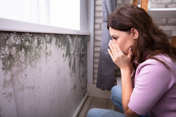 istock Shocked Woman Looking At Mold On Wall 1322056111