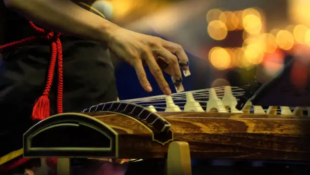 Japanese Koto player performing in concert with stage lighting. Koto - a traditional Japanese stringed musical instrument