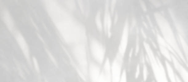 istock Natural leaves shadow and tree branch banner background 1322060182