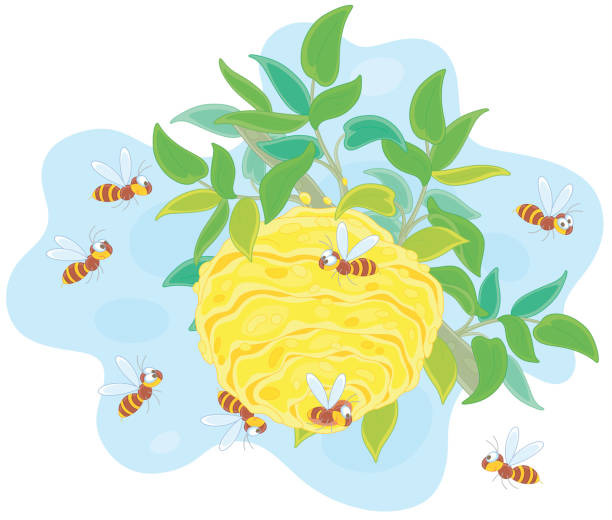 Striped wasps flying around a hive Angry swarm of hornets buzzing over their nest on a tree branch in a summer forest, vector cartoon illustration isolated on a white background hornet swarm stock illustrations
