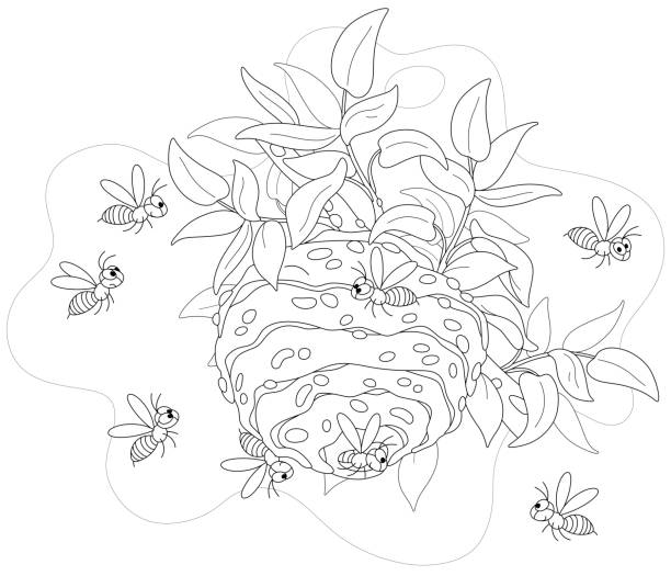 Striped wasps flying around a hive Angry swarm of hornets buzzing over their nest on a tree branch in a summer forest, black and white outline vector cartoon illustration for a coloring book page hornet swarm stock illustrations