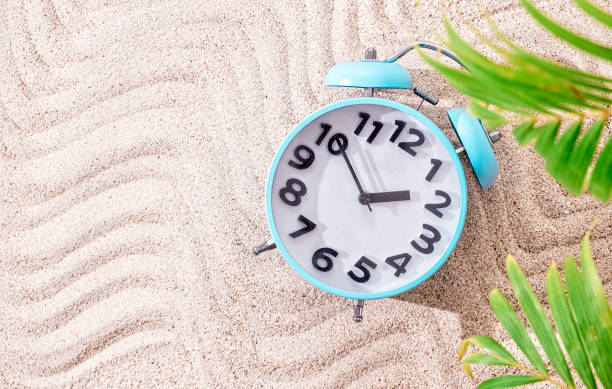 istock Blue alarm clock on sand background, top view with copy space and green palm leafs 1322062930