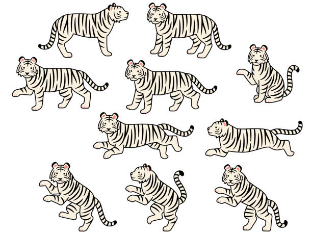 Tiger Dancing Cartoon Character On White Background Vector Art At Vecteezy