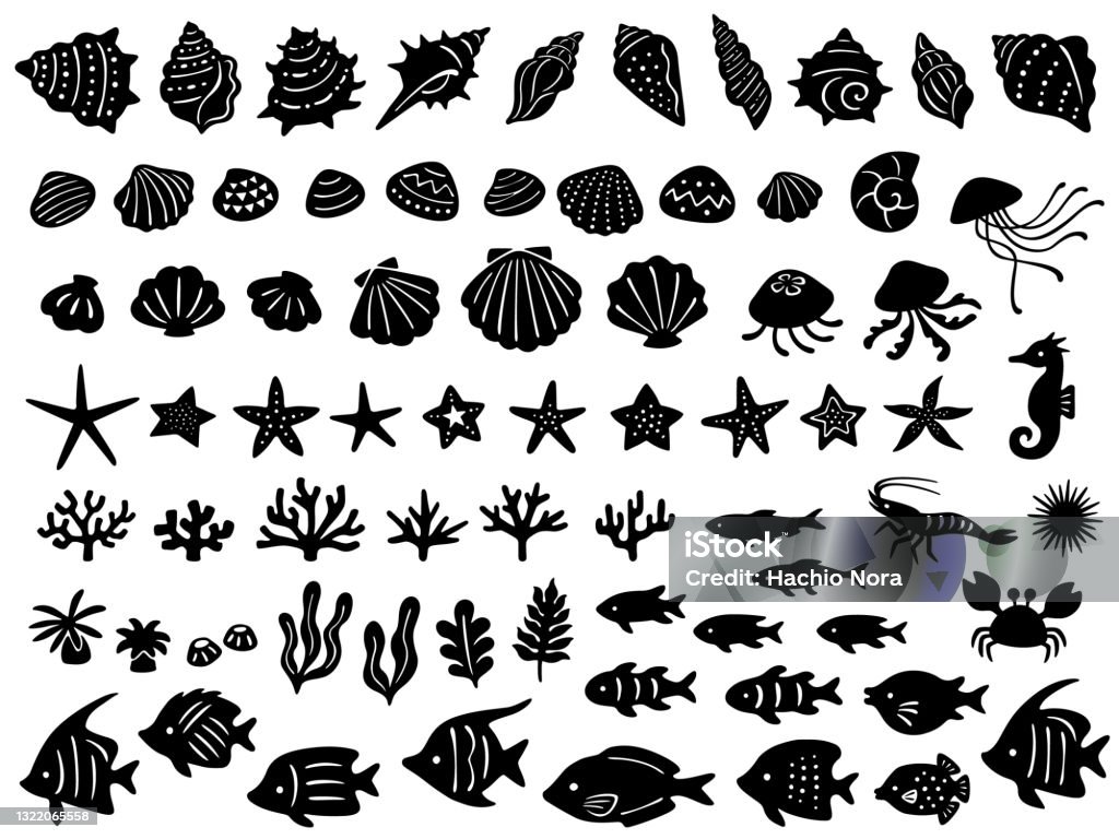 Ensemble d’illustrations de diverses créatures marines - clipart vectoriel de Coquillage libre de droits