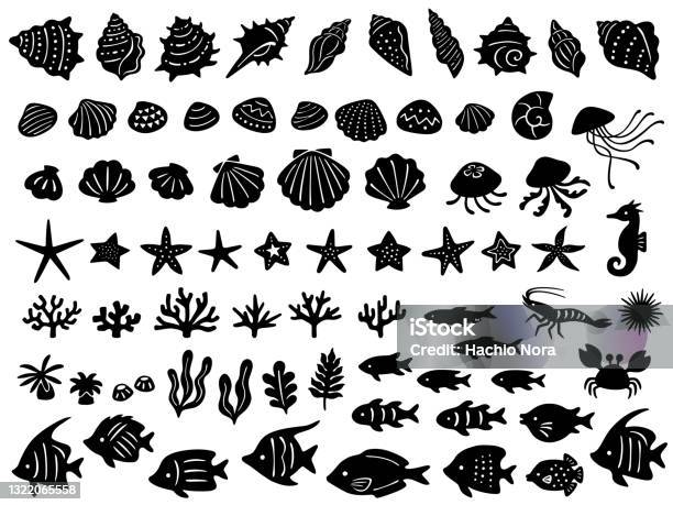 Ensemble Dillustrations De Diverses Créatures Marines Vecteurs libres de droits et plus d'images vectorielles de Coquillage