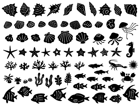 A set of silhouette icons of various sea creatures in hand drawn style