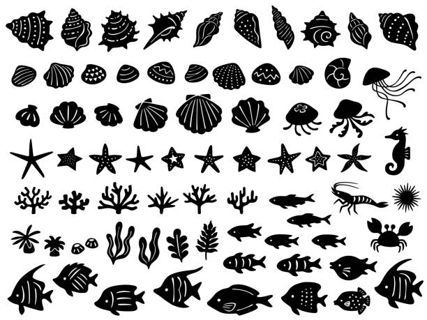 Illustration set of various sea creatures A set of silhouette icons of various sea creatures in hand drawn style starfish stock illustrations