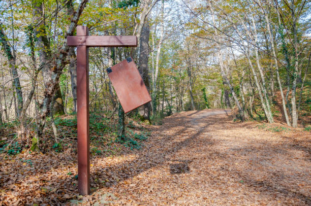a blank notice board by a path in the forest in autumn