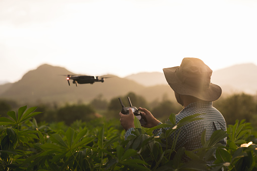 Asian farmer using drone flying navigating above farmland. A young farmer controls a drone in a large scale survey of agricultural plots for modern farming and farming.