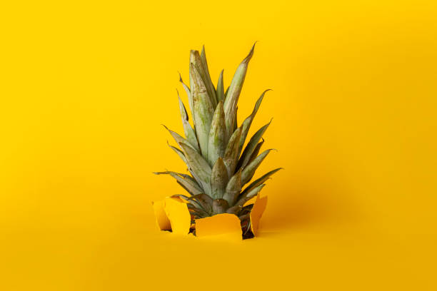 istock green pineapple foliage breaks a hole in yellow cardboard background 1322067873
