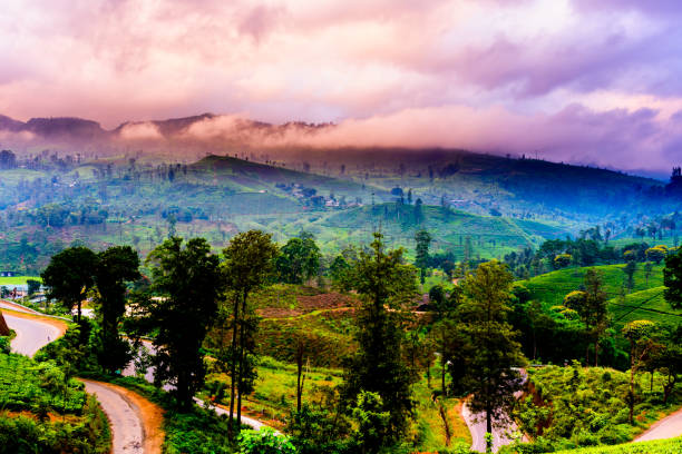 istock Tea plantation in Sri Lanka Highland 1322069001