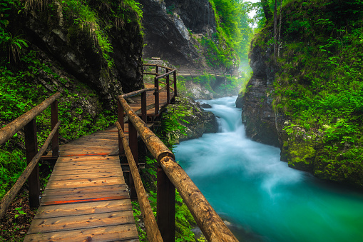 Narrow wooden footbridge in the misty Vintgar gorge. Beautiful scenery with mountain river in the deep gorge, Bled, Slovenia, Europe