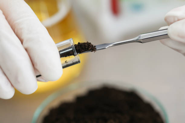 istock Researcher takes study of the soil in laboratory 1322071992