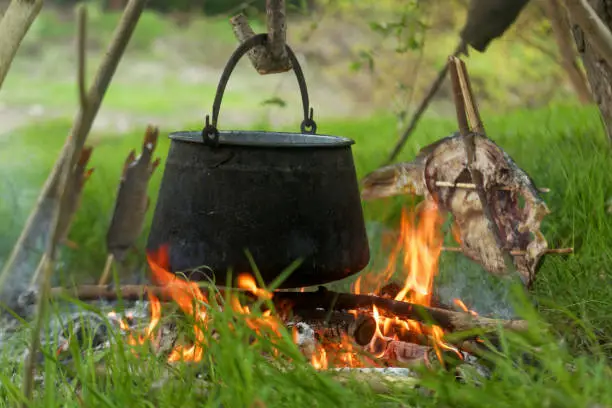 Traditional fish stew cooked on open fire in Kopačevo, Croatia