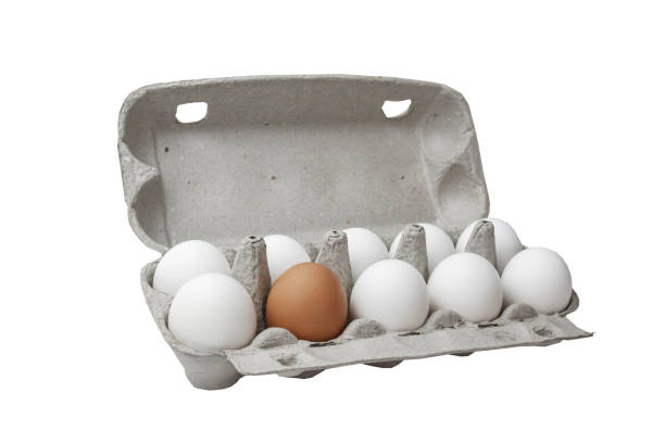 istock Several White and one brown eggs in a basket. Rural scene. Easter background - fresh chicken eggs. Concept is not like everyone else 1322076918