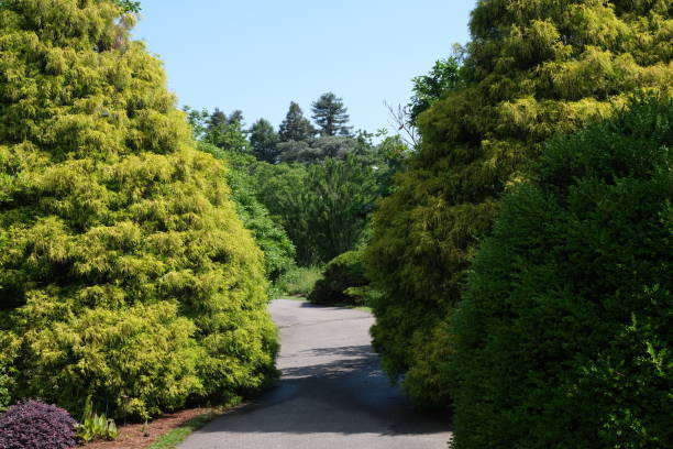 istock Footpath in a city park 1322079010
