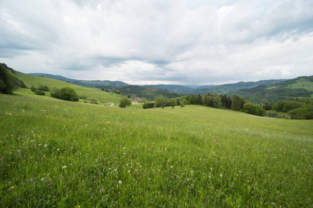 istock landscape in the southern black forest in germany 1322080301
