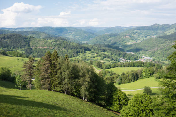 istock landscape in the southern black forest in germany 1322081215