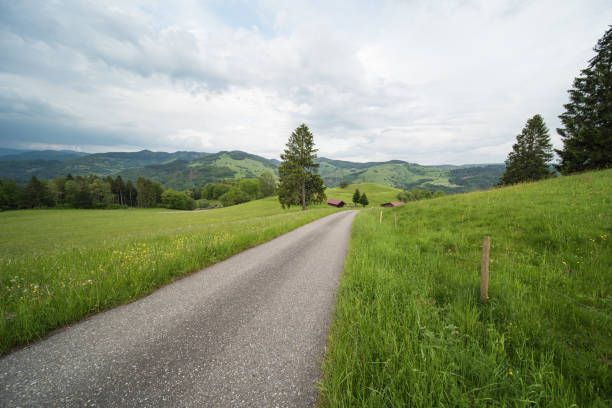 near Schönau in the Black Forest