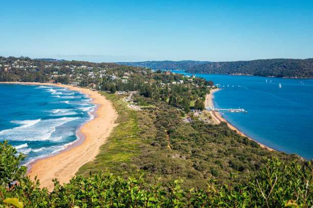 istock Palm Beach from Barrenjoey Lighthouse 1322081686